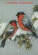 OISEAU Animaux Vintage Carte Postale CPSM #PAM923.FR - Oiseaux