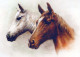 HORSE Animals Vintage Postcard CPSM #PBR867.GB - Horses