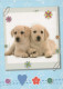 DOG Animals Vintage Postcard CPSM #PBQ569.GB - Honden