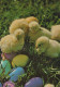 EASTER CHICKEN EGG Vintage Postcard CPSM #PBO849.GB - Easter