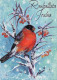 Happy New Year Christmas BIRD Vintage Postcard CPSM #PBM779.GB - Nieuwjaar