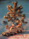 Happy New Year Christmas GNOME Vintage Postcard CPSM #PAY492.GB - New Year