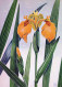 FLOWERS Vintage Postcard CPSM #PAR487.GB - Fleurs