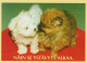 DOG Animals Vintage Postcard CPSM #PAN675.GB - Dogs