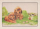 DOG Animals Vintage Postcard CPSM #PAN544.GB - Dogs