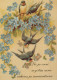 BIRD Animals Vintage Postcard CPSM #PAN167.GB - Pájaros