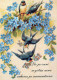 BIRD Animals Vintage Postcard CPSM #PAN167.GB - Vogels