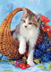 CAT KITTY Animals Vintage Postcard CPSM #PAM106.GB - Katzen