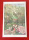 Guide Saison Thermale 1906 Chemins De Fer PLM Vichy Uriage Royat Evian Allevard.... Billets Voyages Circulaires Tarifs - Dépliants Touristiques