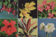 FIORI Vintage Cartolina CPSM #PBZ319.IT - Fleurs