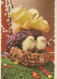 PASQUA POLLO UOVO Vintage Cartolina CPSM #PBP228.IT - Pâques