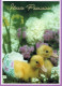 PASQUA POLLO Vintage Cartolina CPSM #PBO977.IT - Easter