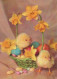 PASQUA POLLO UOVO Vintage Cartolina CPSM #PBO666.IT - Easter