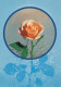 FIORI Vintage Cartolina CPSM #PAS332.IT - Fleurs