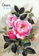 FIORI Vintage Cartolina CPSM #PAS092.IT - Bloemen