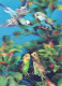 UCCELLO Animale LENTICULAR 3D Vintage Cartolina CPSM #PAZ100.IT - Birds