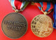 Delcampe - Barrette 4 Medailles Troupes De Marine Ex Yougoslavie Sarajevo - Francia