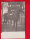 CPA CARTE PHOTO Femme Cheval Cavalière Amazone  Timbre Allemand Vers Colmar - Other & Unclassified