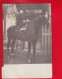 CPA CARTE PHOTO Femme Cheval Cavalière Amazone  Timbre Allemand Vers Colmar - Autres & Non Classés