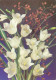AK 211336 FLOWER / BLUME .. - Flowers