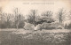 92 Meudon Dolmens Trouvés Dans Le Bois CPA Dolmen - Meudon