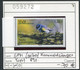 Saint Pierre Et Miquelon 2007 - SPM 07 - Michel ? / Yvert 891 - ** Mnh Neuf Postfris - Gelber Kronwaldsänger / Paruline - Ongebruikt