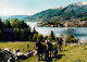 73627715 Balestrand Pferdefuhrwerk Dorf Am Sognefjord Balestrand - Norvegia