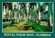 72883000 Palm_Beach Royal Palm Way - Autres & Non Classés