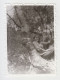 Young Woman Pose Climbed On Tree, Scene, Vintage Orig Photo 6x8.5cm. (32453) - Anonieme Personen