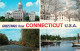 72824053 Connecticut_US-State Capitol In Hartford Litchfield Hills Long Island - Andere & Zonder Classificatie