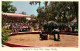 72818492 Tampa_Florida Elephant And Chimp Lowry Park Fairyland - Other & Unclassified