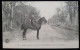 Chasse à Courre En Foret De Fontainebleau - Le Porte Trompe - Chasse