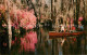 72805704 Charleston_South_Carolina Cypress Gardens Boat Tour Nature - Andere & Zonder Classificatie