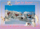 73 - La Rosière - La Station Sous La Neige - CPM - Voir Scans Recto-Verso - Andere & Zonder Classificatie