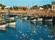 17 - Ile D'Oléron - La Cotinière - Le Port - Bateaux - Mouettes - CPM - Voir Scans Recto-Verso - Ile D'Oléron