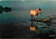 Animaux - Chevaux - Camargue - Cheval Au Bois De Bras Invert - CPM - Voir Scans Recto-Verso - Paarden