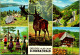 51628 - Deutschland - Schwarzwald , Mehrbildkarte - Nicht Gelaufen  - Other & Unclassified