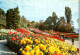 51557 - Deutschland - Insel Mainau , Im Bodensee , Dahlien Im Südgarten - Gelaufen 1980 - Konstanz