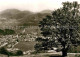 72881376 Schoenau Schwarzwald Panorama Luftkurort Alter Baum Schoenau Im Schwarz - Altri & Non Classificati