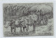 Haïti - Charrette à Bœufs, Carte Dessinée à La Main, Signée M. Montasse - Ox Cart, Hand Drawn Postcard, Signe By M. Mont - Haïti