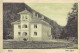 Romania - BRAN - Hotel Sylva - Ed. I. Schneider 25 - Roumanie