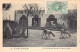 Mauritanie - KAËDI - Coin Du Marché Devant La Maison Duffau, éditeur De La Carte Postale - Ed. Duffau 15 - Mauritanie