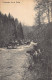 Cascades De La Prüm - Ed. P. C. Schoren  - Other & Unclassified