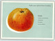 39292908 - Apfel Freiherr Von Berlepsch AK - Andere & Zonder Classificatie