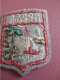 Ecusson Tissu Ancien /RONCE Les Bains  / Charente Maritime  / Vers 1960-1980                    ET705 - Patches