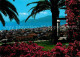 72875496 Bordighera Scorcio Panoramico Riviera Dei Fiori Bordighera - Sonstige & Ohne Zuordnung