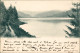 Ansichtskarte Titisee Blick über Den Titisee 1901 - Sonstige & Ohne Zuordnung