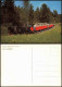 Ansichtskarte  Dampflokomotive Auf Der Steilrampe Bei Fischl 1975 - Trenes