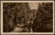 Ansichtskarte Ilsenburg (Harz) Oberharz Blick Vom Goetheweg Zum Brocken 1924 - Sonstige & Ohne Zuordnung
