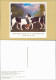 Hund, Briefmarken-Motiv England: TWO HOUNDS IN A LANDSCAPE 1991 - Honden